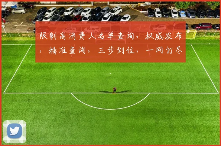 限制高消费人名单查询，权威发布，精准查询，三步到位，一网打尽