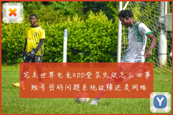 完美世界电竞app登录失效怎么回事，账号密码问题系统故障还是网络波动，三因素排查