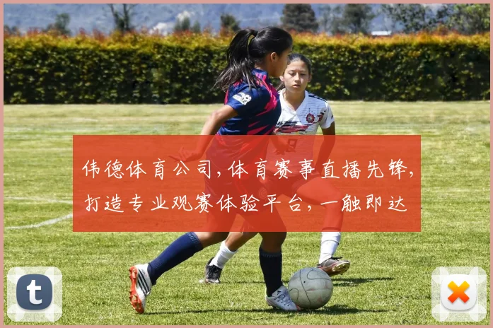 伟德体育公司,体育赛事直播先锋,打造专业观赛体验平台,一触即达