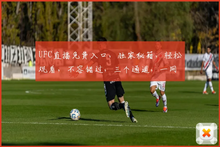 UFC直播免费入口，独家秘籍，轻松观看，不容错过，三个通道，一网打尽