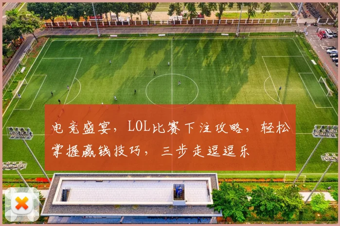 电竞盛宴，LOL比赛下注攻略，轻松掌握赢钱技巧，三步走逗逗乐