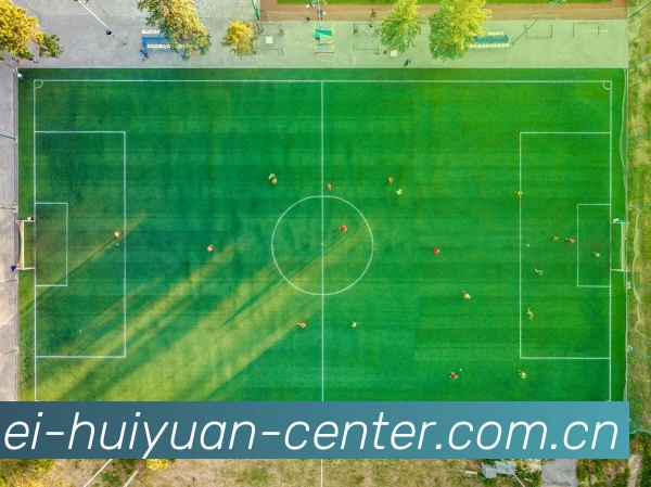 App Interface Preview